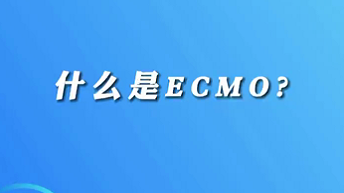 【名醫面對面之心臟100問】什么是ECMO？