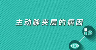 【名醫面對面之心臟100問】主動脈夾層的病因
