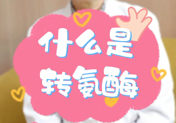 【名醫(yī)面對(duì)面之消化100問(wèn)】什么是轉(zhuǎn)氨酶？