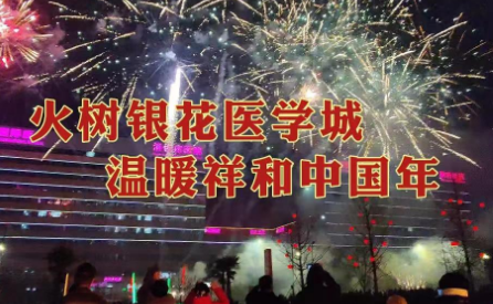 火樹銀花醫學城  溫暖祥和中國年