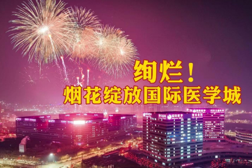 絢爛！煙花綻放國際醫(yī)學城
